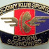 Czarni Sosnowiec : Problemy Czarnych Sosnowiec Nie Wiadomo Czy Klub Przystapi Do Rozgrywek W Nowym Sezonie Sosnowiec Nasze Miasto / Wiele z nich ma na koncie sukcesy na poziomie krajowym i światowym w sportach drużynowych i indywidualnych.