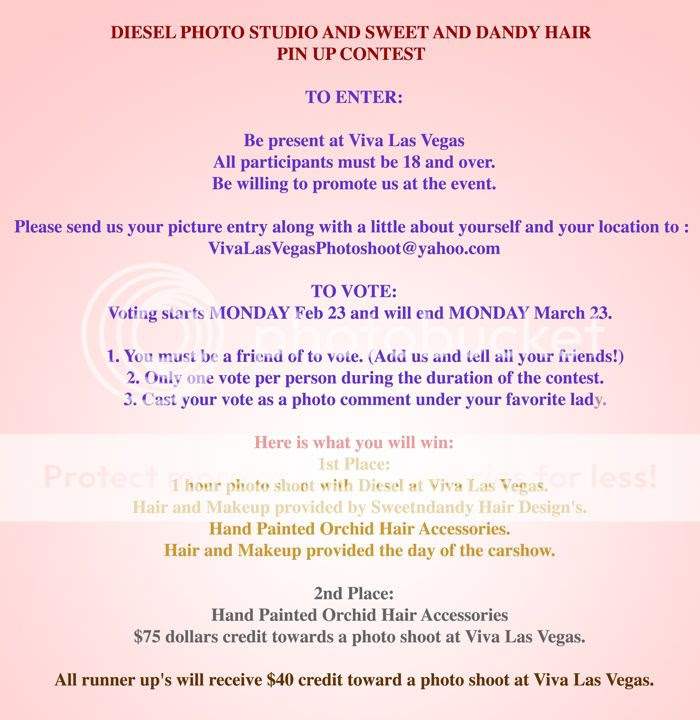 hair pin ups styles. Hair Pin Up Designs.