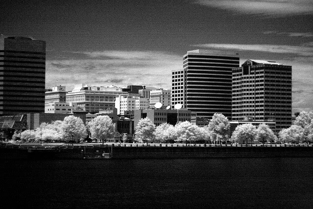 waterfront park, infrared