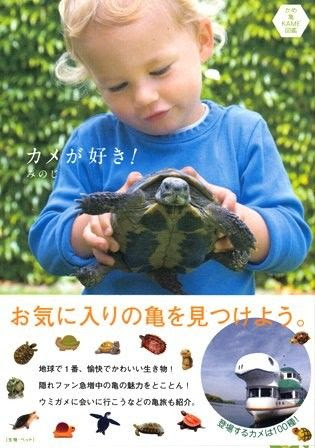 みのじのオミセカメが好き かめ亀カメ図鑑 亀グッズ ジブリール店番のブログ