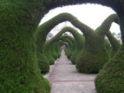 242 New topiary garden zarcero costa rica 524 Zarcero Topiary Gardens, Costa Rica   Miniature Gardens & Outdoors   