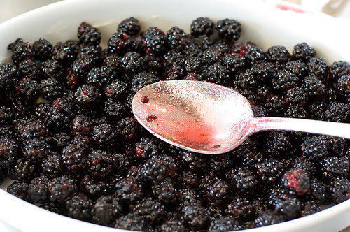 Blackberry Cobbler #2 098