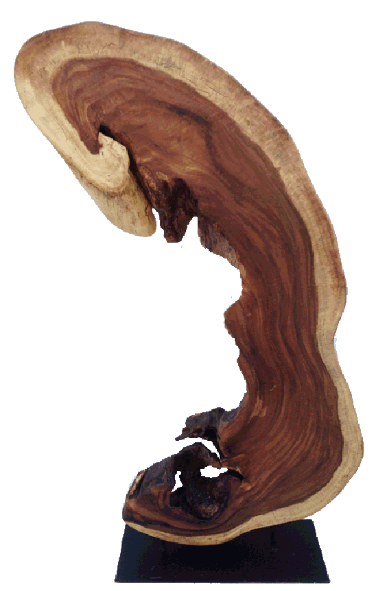 Woodworking As An Art Form