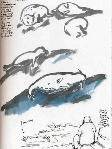 February 2013: Point Lobos