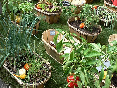 potager bio cagettes.jpg
