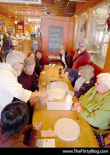 cheese-making-milk-vegetarian-rennet