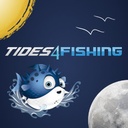 tides for fishing