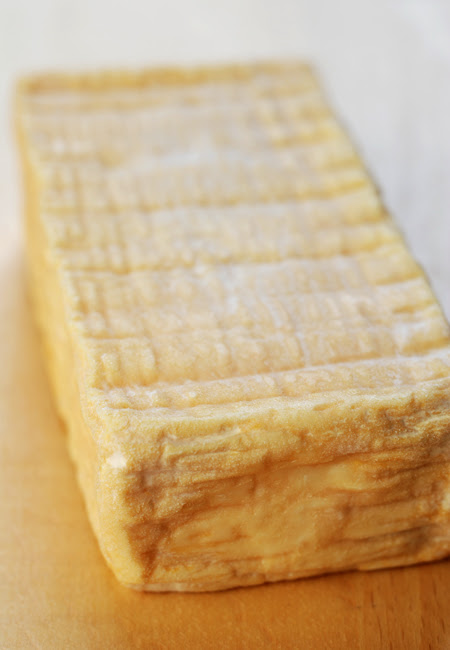 Fingal Gold© by Haalo