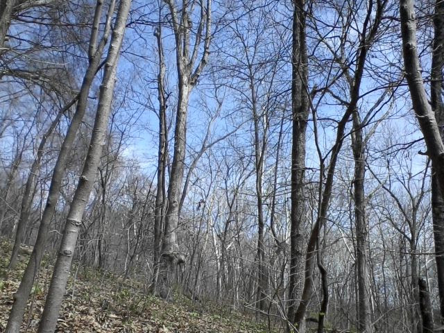  photo Photo0021_zps1e5f93ad.jpg