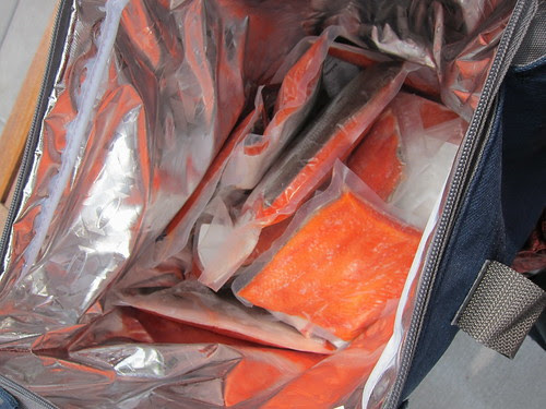 20 pounds of Alaskan Salmon