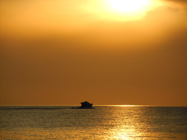 DSCN0179