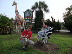 Pete adores this fake zebra