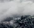 Shimla