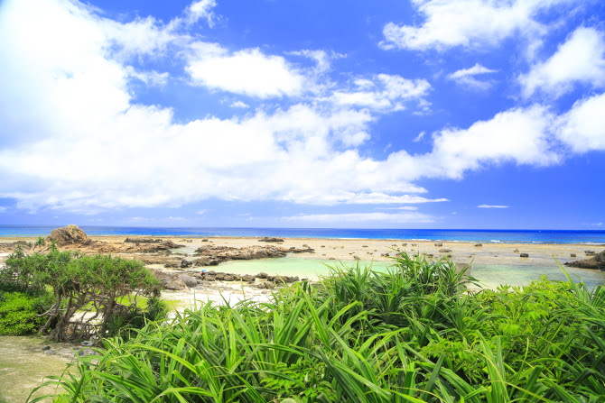 HDS_5117.JPG