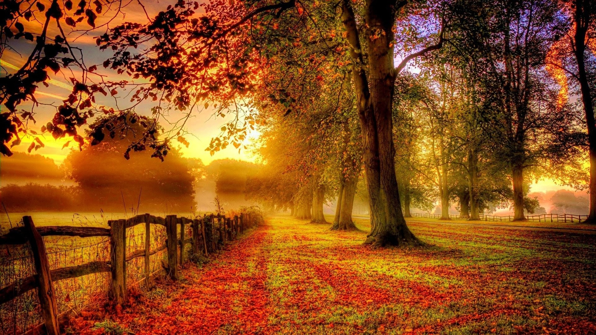 Fall Images Wallpaper 52 Images Fall Images Wallpaper 52 Images