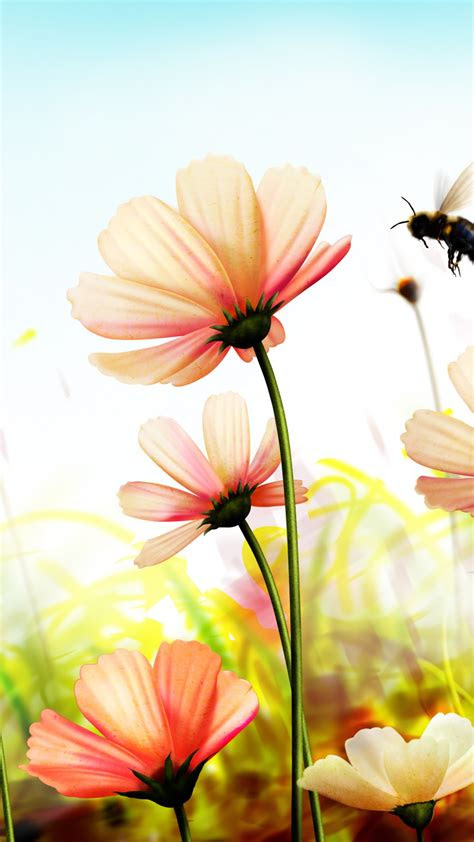 wallpaper flowers   wallpaper  spring art