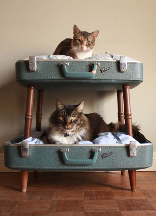 1000+ images about feral cat winter shelter on pinterest