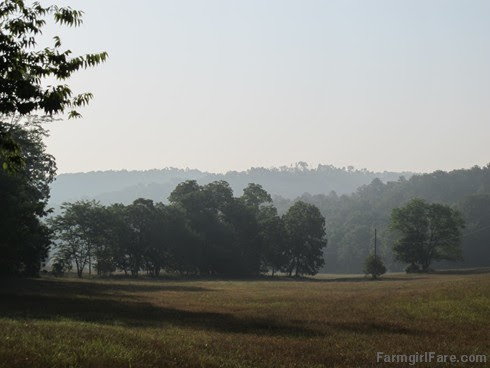 (18-15) Morning in the hayfield, one of my favorite views on the farm - FarmgirlFare.com