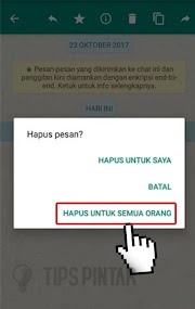 Istimewa 29+ Gambar Wa Dihapus