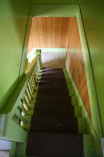 the green party