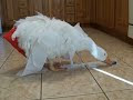 Video OLIVER INDOOR PET SEBASTOPOL GOOSE PLAYING WITH A ROLL OF TOILET PAPER!!
