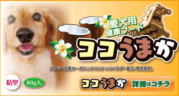 熊本県情報サイトクマみる