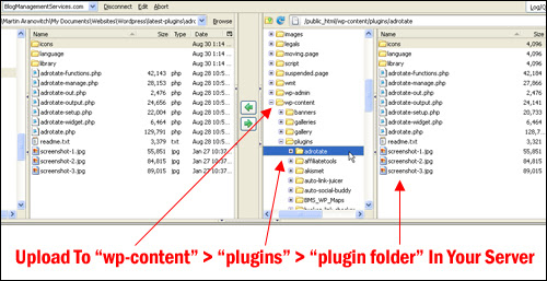 Auto upload image wordpress