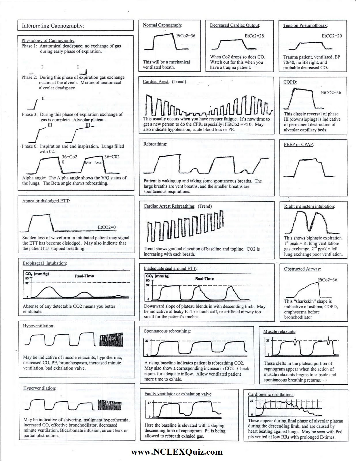 Pulmonary Function Test Normal Values Pdf - New Book Edition 