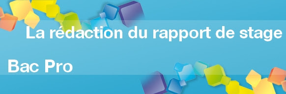 Rapport de stage bac pro assp