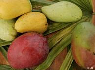 আম