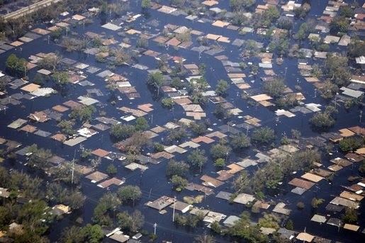 Hurricane katrina 100days ga