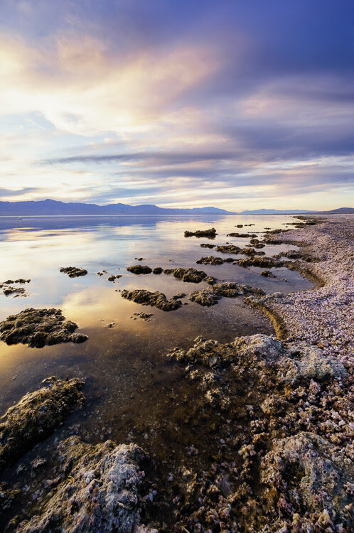 Salton Sea, California by Anne McKinnell - How to Make Storytelling Landscape Photos