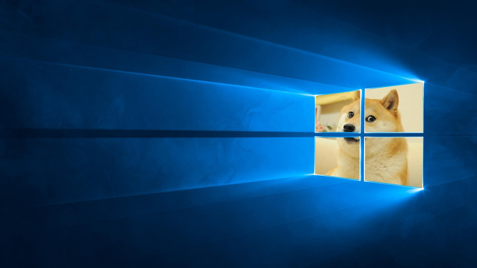 Microsoft Windows Meme Windoge 10 much improve so amaze wow 2560x1600 other 
