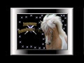 <span class="cf-error-code">522</span> anniversaire chevaux  163166-Anniversaire chevaux