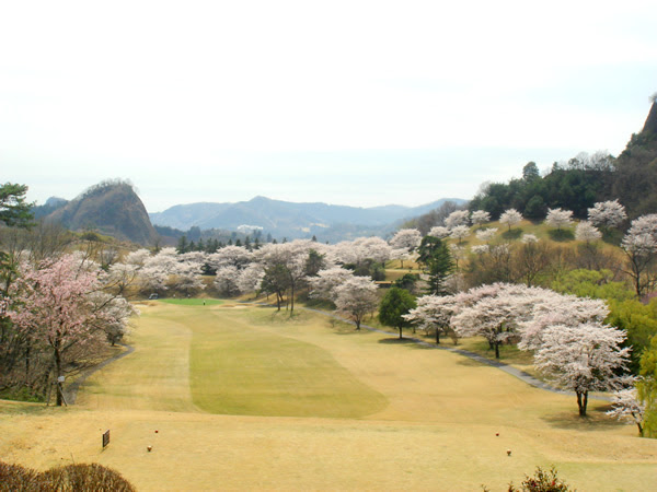 桜のきれいなコース特集 オンラインゴルフ場予約サービス 楽天gora