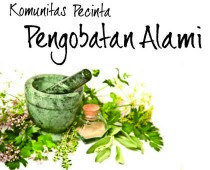 Pengobatan Alami