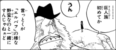 ワンピース ハイルディンが作る 巨兵海賊団 とは ヤマカム