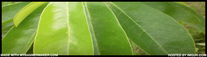 Create your own banner at mybannermaker.com!