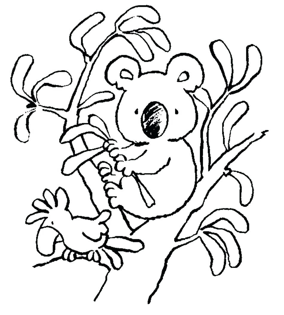 Download Koala Outline Drawing at GetDrawings | Free download