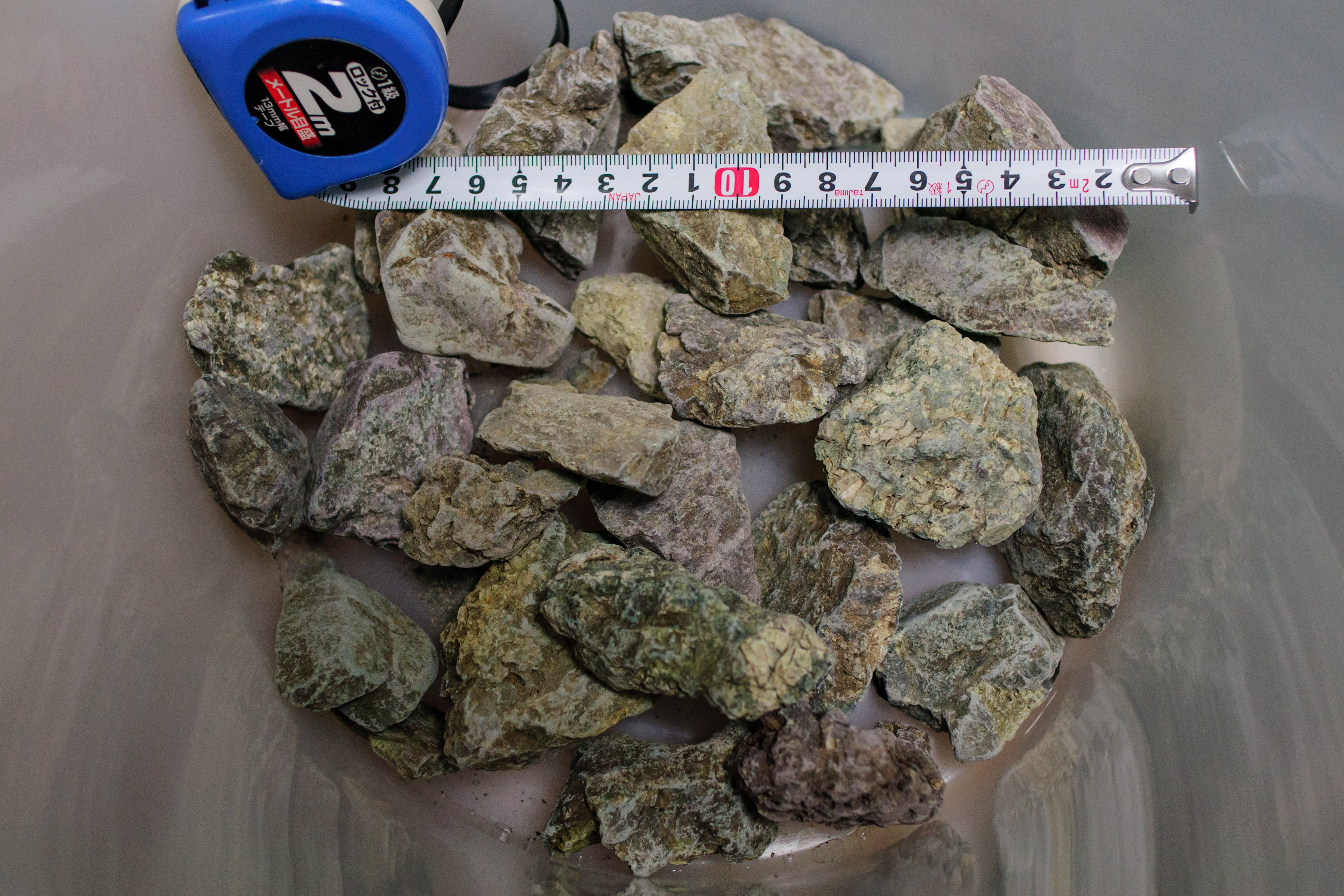 コリドラス パレアタス導入 風山石 アヌビアスナナ設置 Freetimes