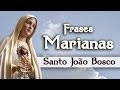 Frases De Dom Bosco