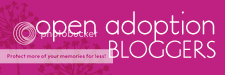 Open Adoption Blogs