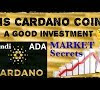 Is Cardano A Good Investment 2019 / Cardano (ADA) can be a good investment option. Why so ... - Cardano is world's first ever blockchain project founded on peer review research and evidence method, it has 3 rd generation technology.