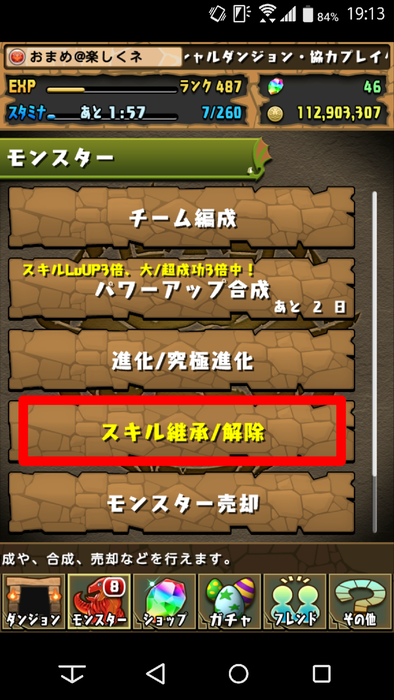 Game パズドラ