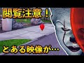 上 フォートナイト it 281144-フォートナイト いつ終わる