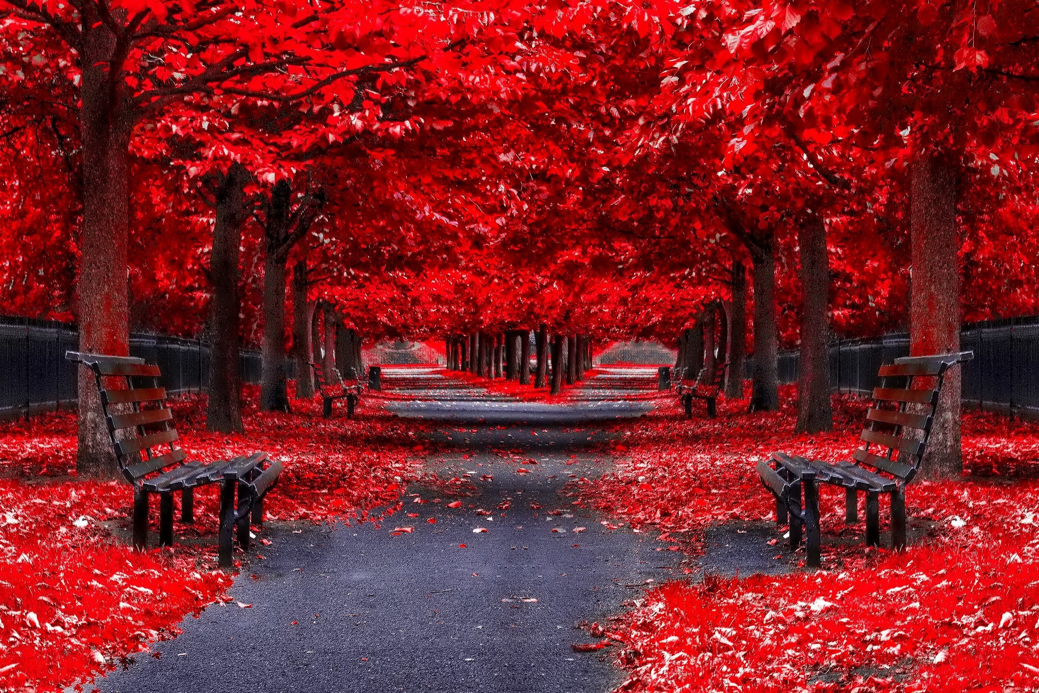 Fall Background for Computer (60+ images)
