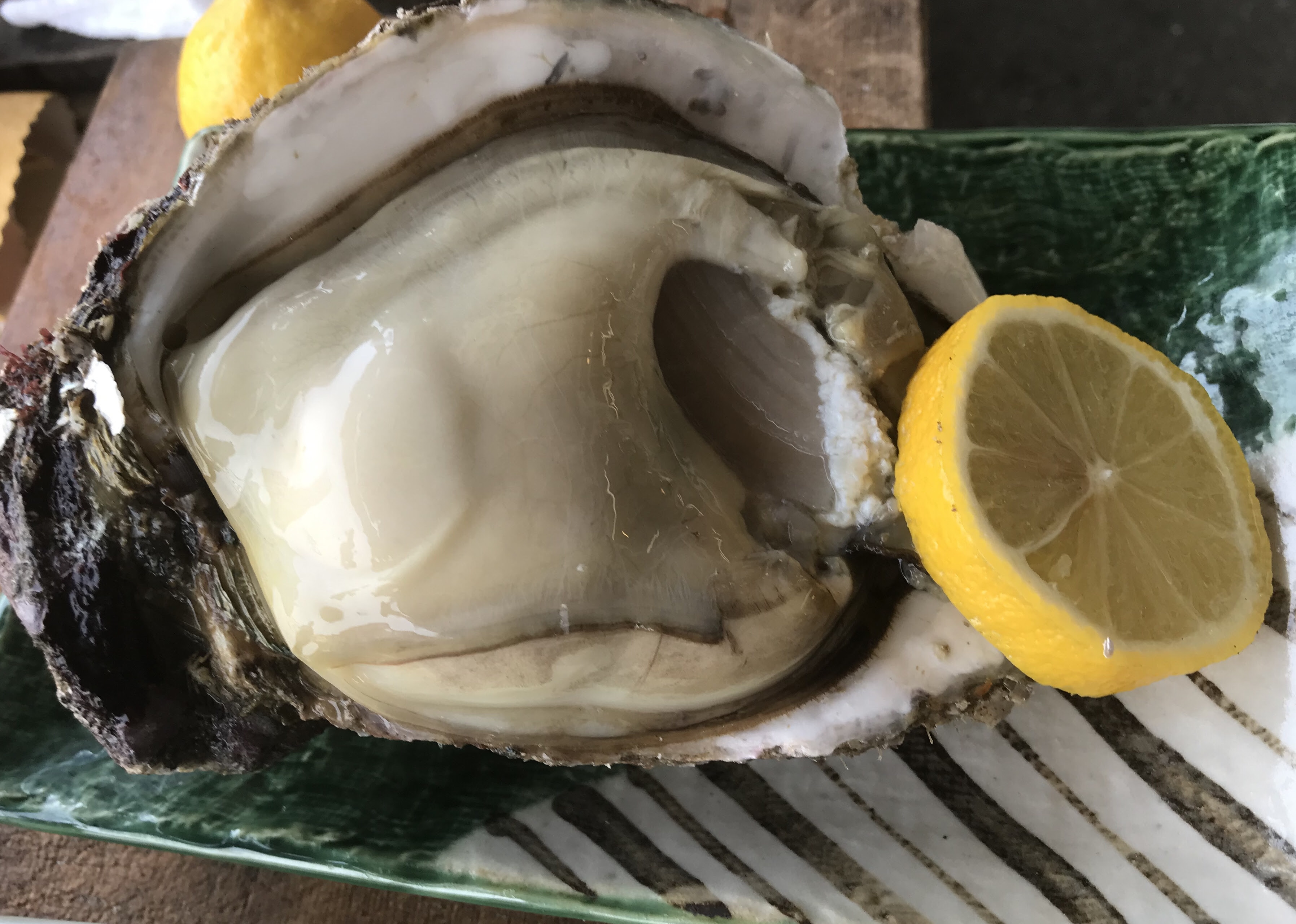 岩がき入荷 灯台茶屋 渥美半島の岩がき 大あさり 活魚料理 お食事 田原市伊良湖岬