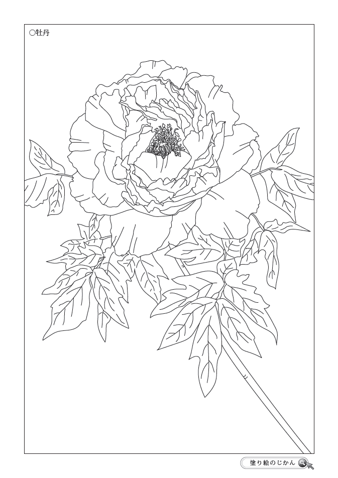 春の花ぬりえ 塗り絵のじかん