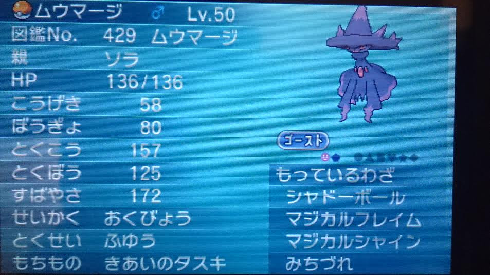 新たに開かれた可能性 ソラポケモン育成ブログ