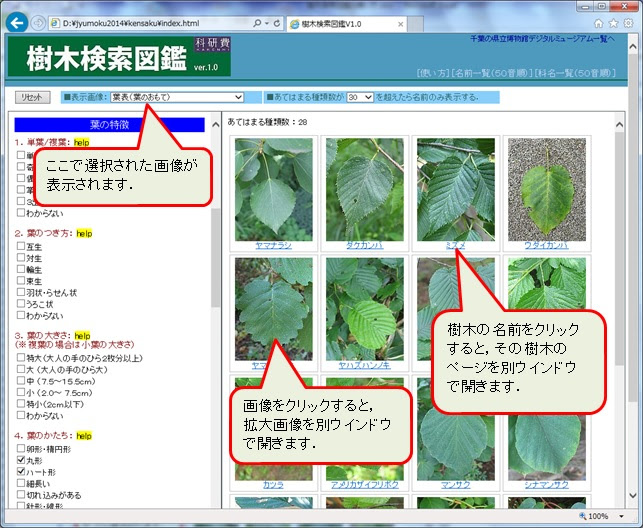樹木検索図鑑v1 0